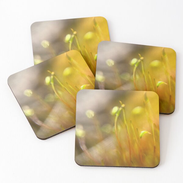 Item preview, Macro Moss designed and sold by Artsy-Abigail.