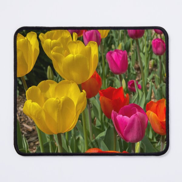 Item preview, Tulip Garden designed and sold by Craig Kauzmann.