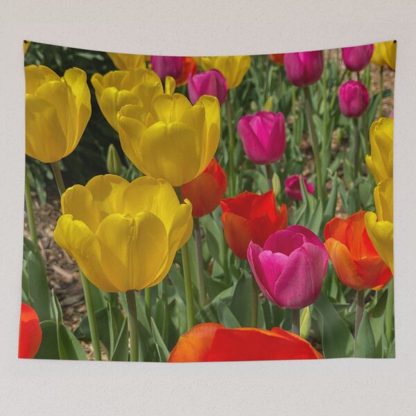 Item preview, Tulip Garden designed and sold by Craig Kauzmann.