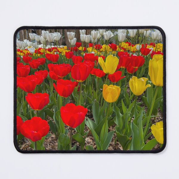 Item preview, Tulips designed and sold by Craig Kauzmann.