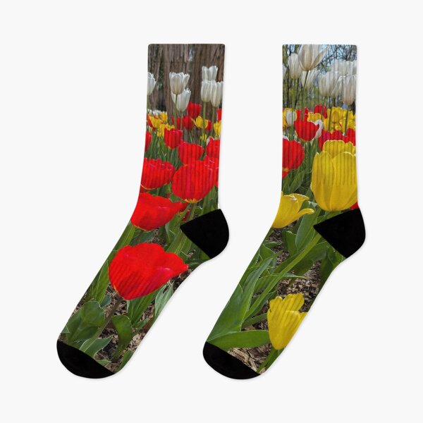 Item preview, Tulips  designed and sold by Craig Kauzmann.