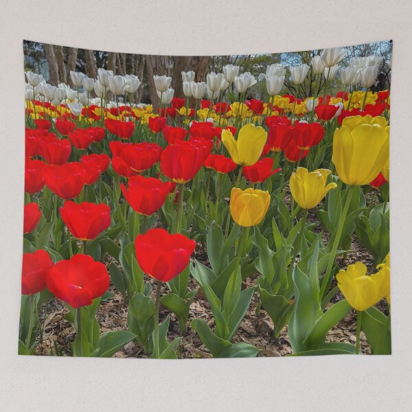 Item preview, Tulips  designed and sold by Craig Kauzmann.