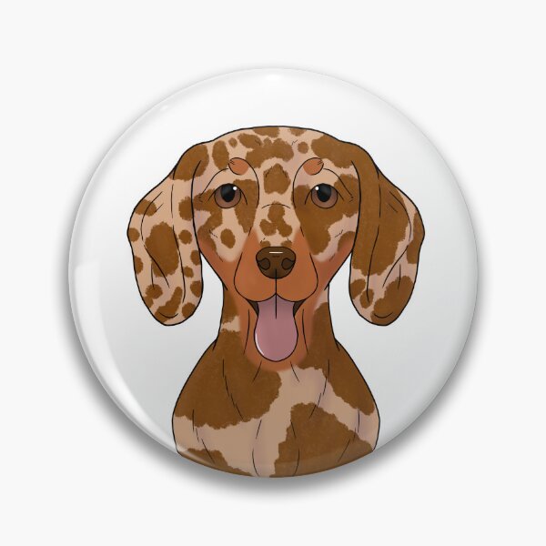 Item preview, Dachshund shorthair - red dapple with tan designed and sold by Cynthiaetal.
