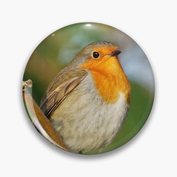 Item preview, Robin on a branch designed and sold by AnnaWoodNature.