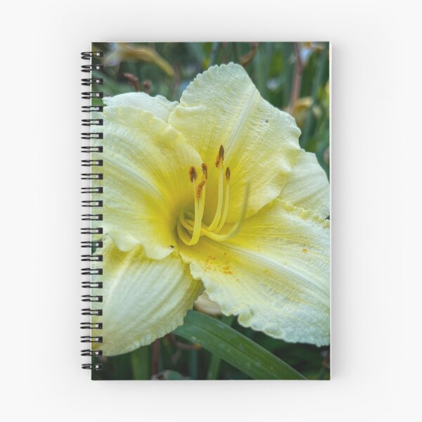 Item preview, Yellow Flower designed and sold by Craig Kauzmann.