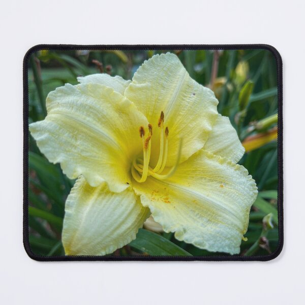 Item preview, Yellow Flower designed and sold by Craig Kauzmann.