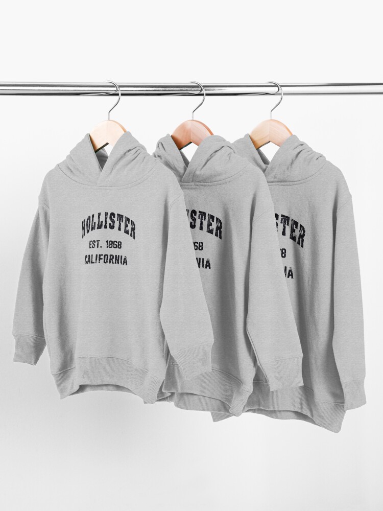 Youth hollister top hoodie