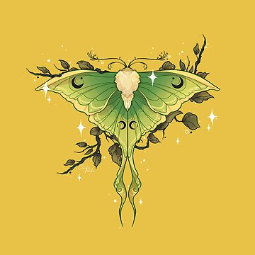 Artwork thumbnail, Luna Moth by CasualPancakes
