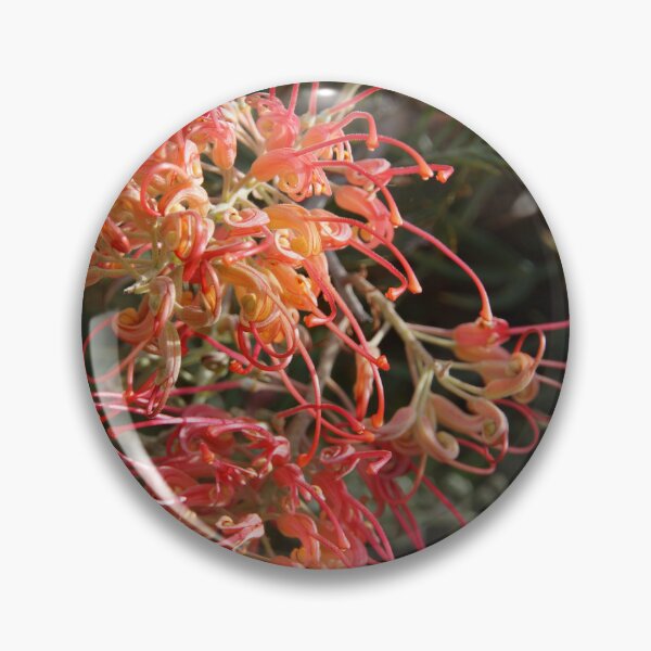 Item preview, Grevillea by Adelaide Artist Avril Thomas at Magpie Springs designed and sold by MagpieSprings.