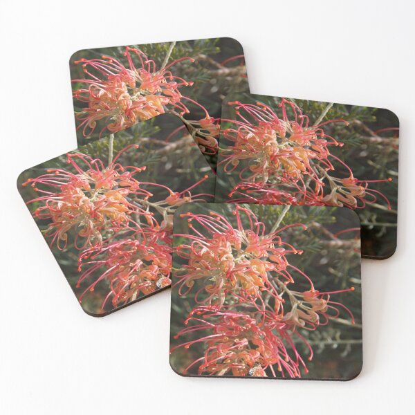 Item preview, Grevillea by Adelaide Artist Avril Thomas at Magpie Springs designed and sold by MagpieSprings.