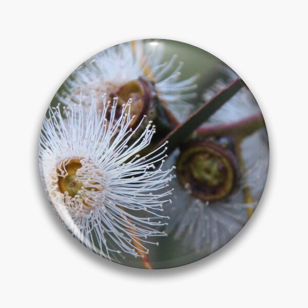 Item preview, Gum Tree Flower by South Australian artist Avril Thomas designed and sold by MagpieSprings.