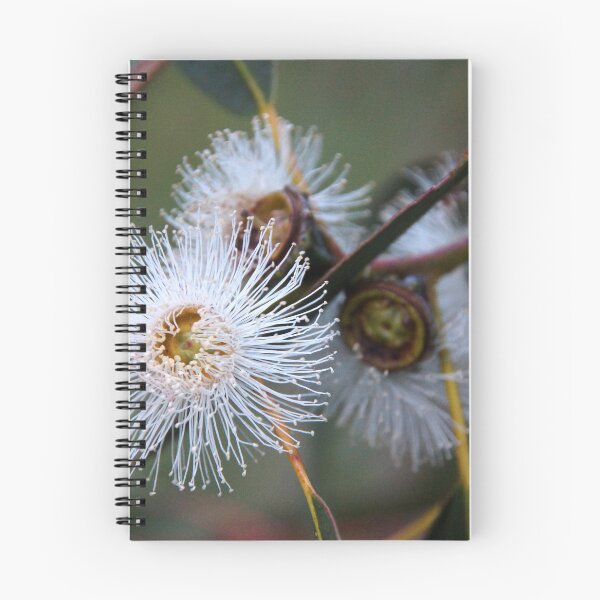 Item preview, Gum Tree Flower by South Australian artist Avril Thomas designed and sold by MagpieSprings.