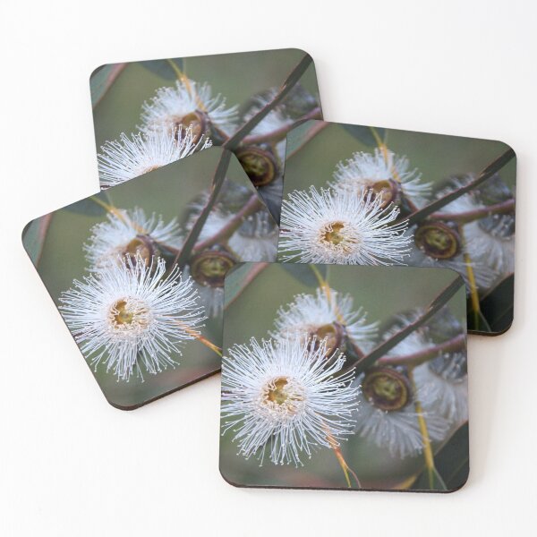 Item preview, Gum Tree Flower by South Australian artist Avril Thomas designed and sold by MagpieSprings.