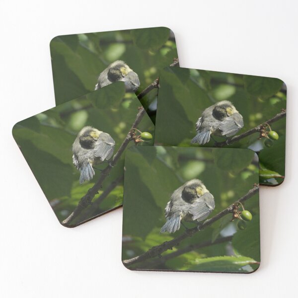 Item preview, Baby blue tit designed and sold by AnnaWoodNature.