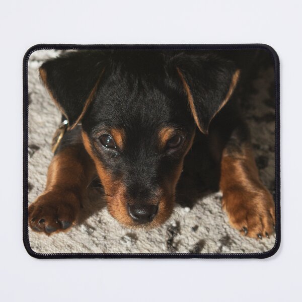 Item preview, Paws for Thought. designed and sold by GingerMan2550.