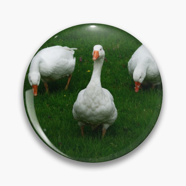 Item preview, Three White Geese designed and sold by GingerMan2550.