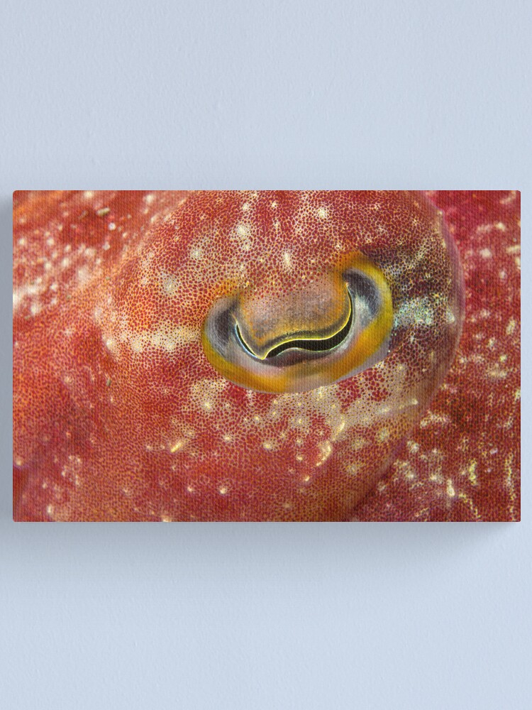 Alternate view of Reaper Cuttlefish Eye Canvas Print