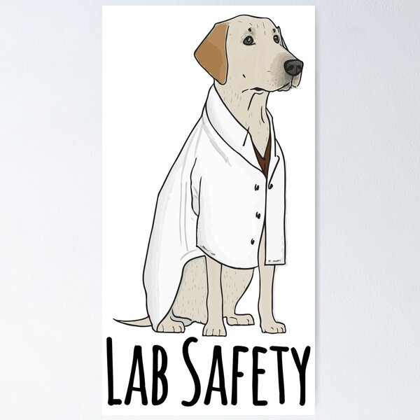 Item preview, Lab Safety! Labrador Retriever in a lab coat designed and sold by saskdigitalart.