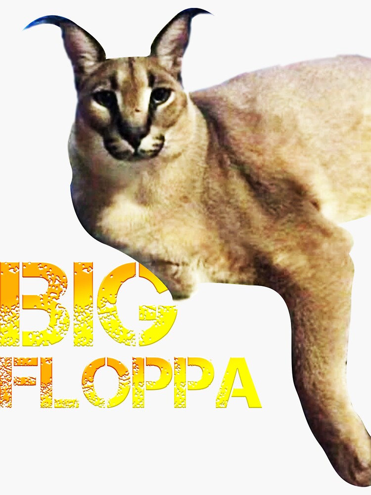 Big floppa -  México