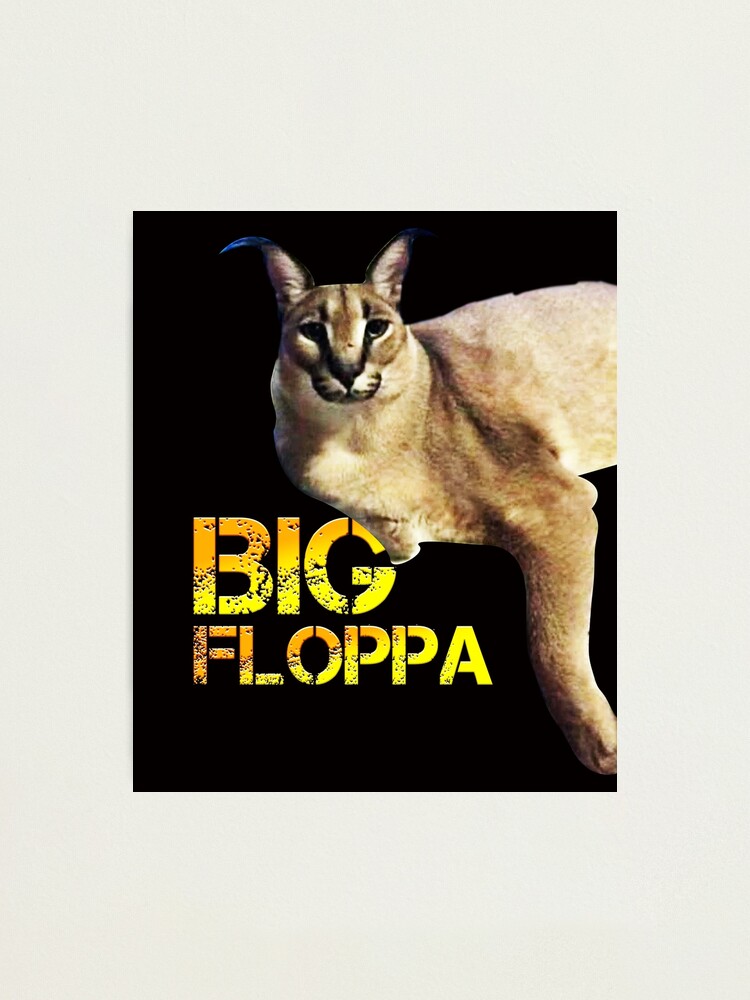 Big Floppa! Photographic Print for Sale by Maxtown