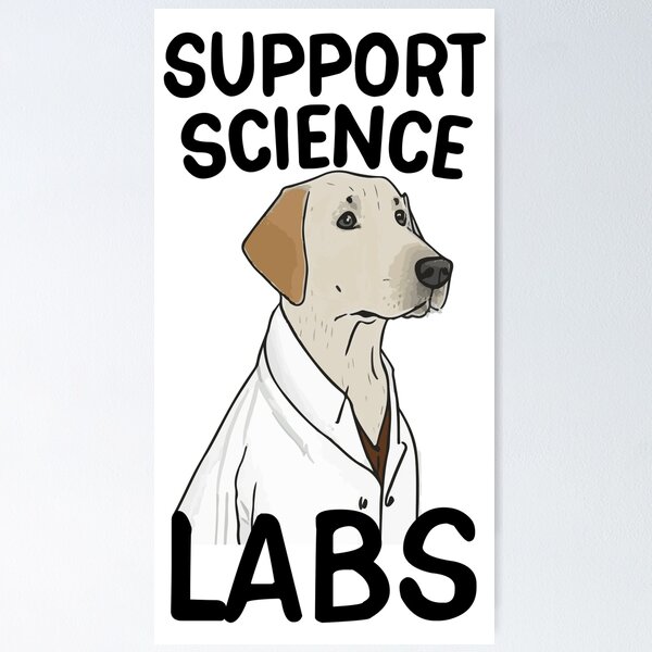 Item preview, Support Science Labs! Labrador Retriever in a Lab Coat designed and sold by saskdigitalart.