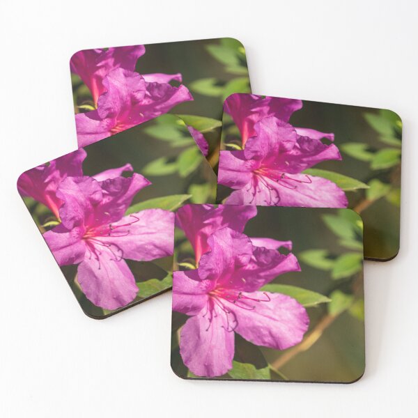 Item preview, satsuki azalea designed and sold by TinyDinoDesigns.