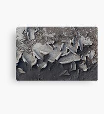 remove the husks Canvas Print