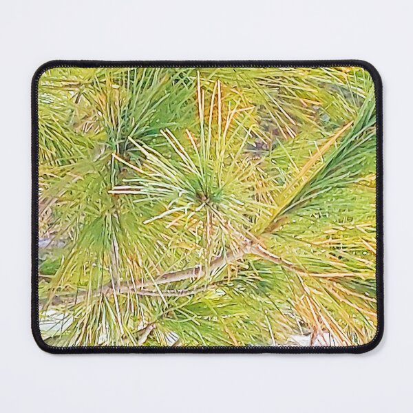 Item preview, Pine in Ottawa Winter 2023. Buy Now designed and sold by Health And Fitness Posts e-Store.