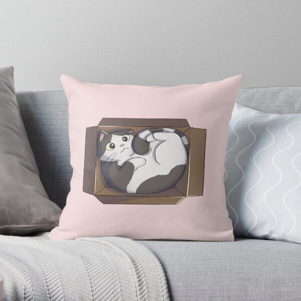 Cat Curled Up In Box Throw Pillow