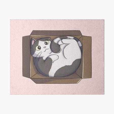 Cat Curled Up In Box Art Board Print
