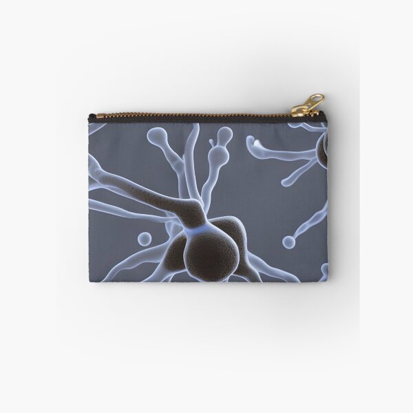 Item preview, Dendritic cells designed and sold by Zosimus.