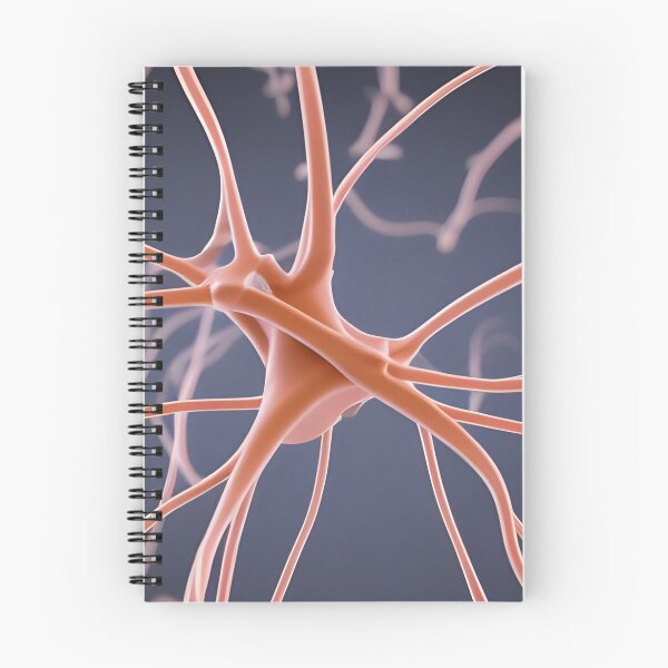 Item preview, Three-dimensional model of nerve cells designed and sold by Zosimus.