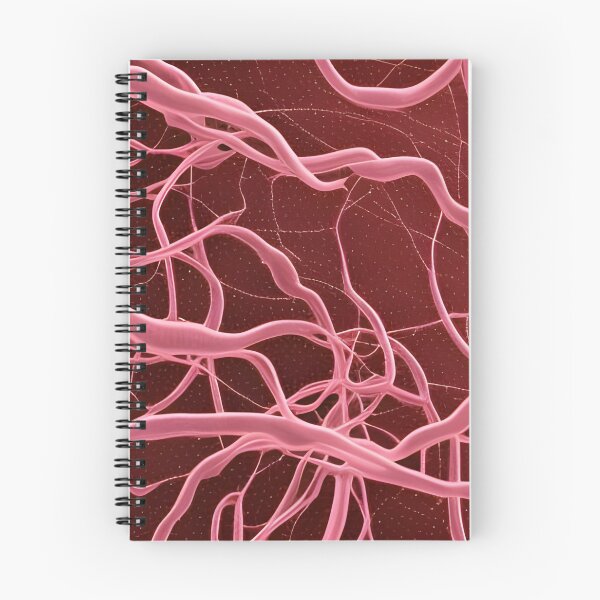 Item preview, Nerve cell network designed and sold by Zosimus.