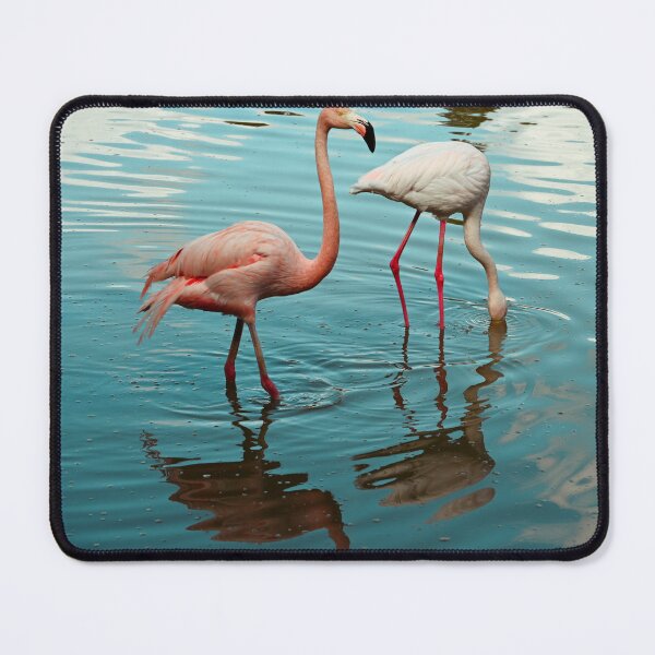 Item preview, Two Flamingos designed and sold by Kate-P-.