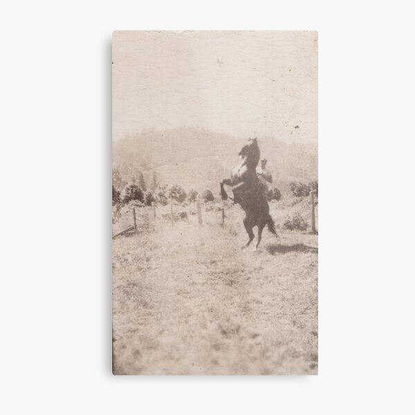 Aperçu de l'œuvre Le cow-boy calme créée et vendue par CAutumnTrapp.