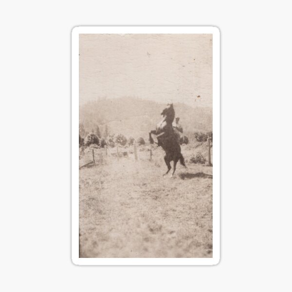 Aperçu de l'œuvre Le cow-boy calme créée et vendue par CAutumnTrapp.