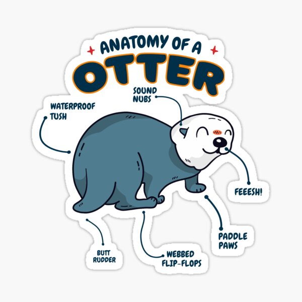 Artikel-Vorschau von Anatomie eines Otters, designt und verkauft von NewArtWave.