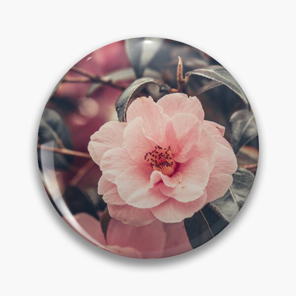 Item preview, Camilla designed and sold by LoulabellaPhoto.