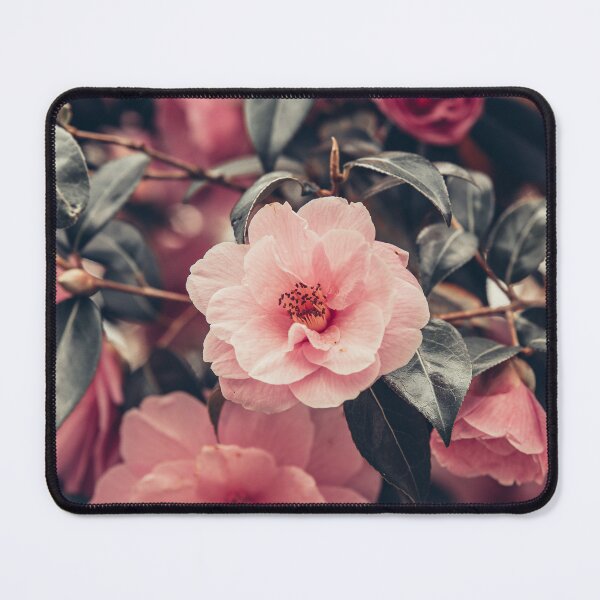 Item preview, Camilla designed and sold by LoulabellaPhoto.