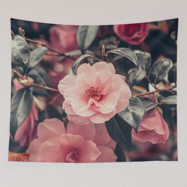 Item preview, Camilla designed and sold by LoulabellaPhoto.