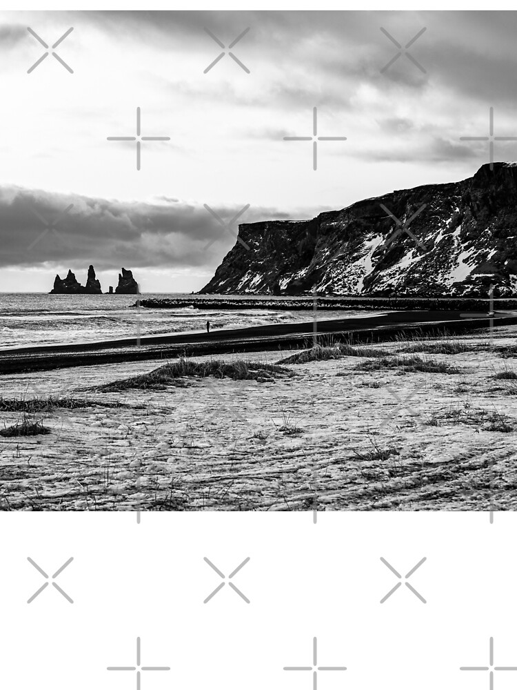 Black Sand Beach Vik Iceland