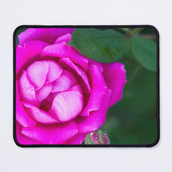 Item preview, Magenta Petals designed and sold by Elliot L..