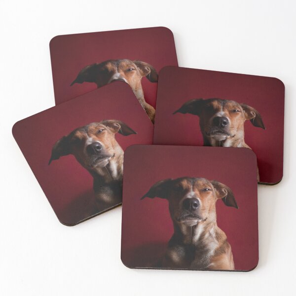 Item preview, I don’t have any offshore treats accounts. designed and sold by Alex Preiss.