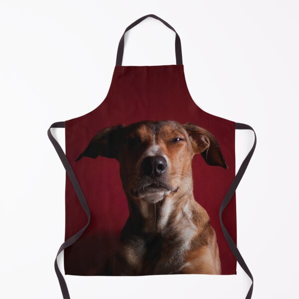 Item preview, I don’t have any offshore treats accounts. designed and sold by Alex Preiss.