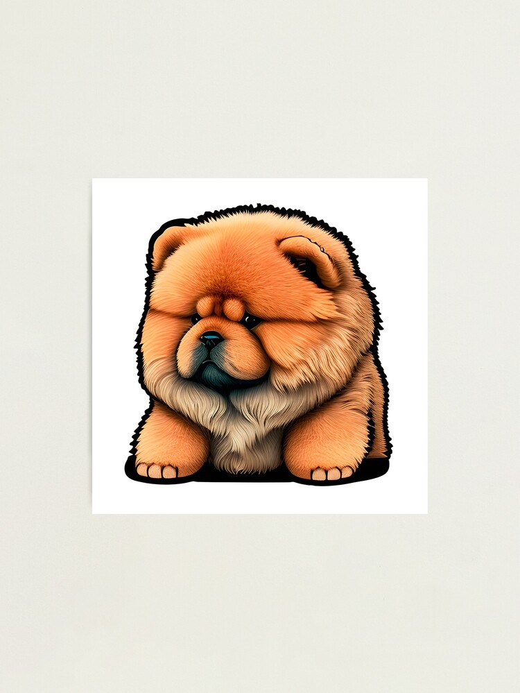 Angry Chow Chow Puppy Photographic Print for Sale by brindled Redbubble