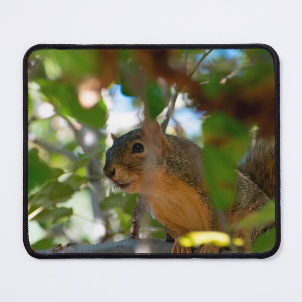 Item preview, Curiosity  designed and sold by Elliot L..