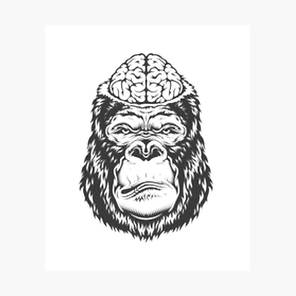 boxer chimp in the ring wearing boxing gloves. tattooed monkey. Gorilla  Sticker for Sale by Toto-Hello