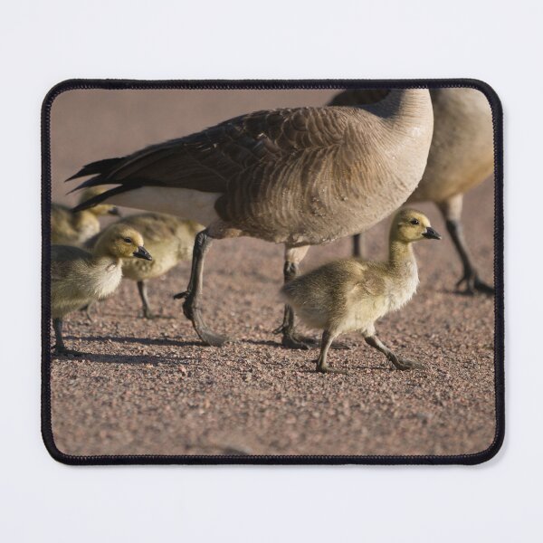Item preview, The Family That Walks Together designed and sold by Elliot L..