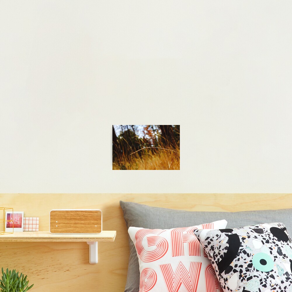 Item preview, Photographic Print designed and sold by M-MPhotography.