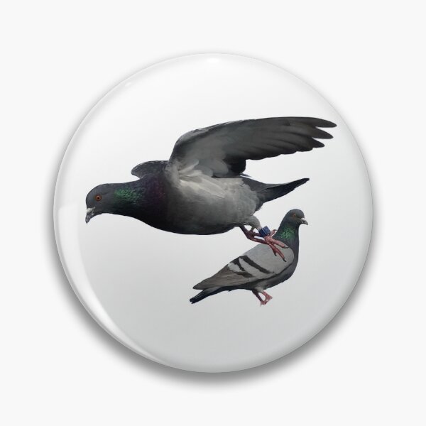 Item preview, Pigeons designed and sold by abstractallie4.